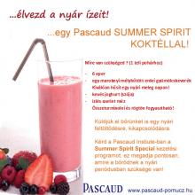 Élvezd a nyár ízeit egy Pascaud Summer Spirit koktéllal!